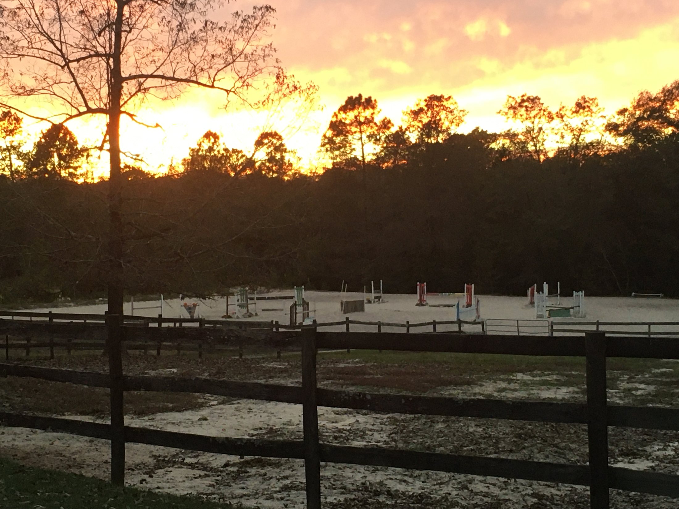 Arena fencing and trees at sunset